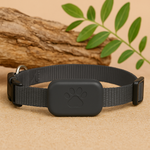 FindMyToutou — Collier GPS Connecté pour Chiens et Chats